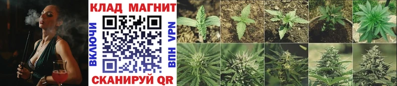Купить закладку Кимовск Alpha-PVP Галлюциногенные грибы Вейп ТГК Канабис