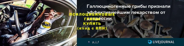 мяу мяу мука Абаза