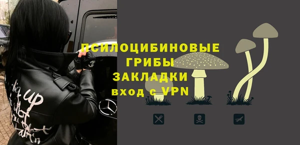 меф Алексин