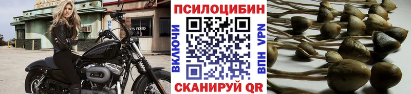 Псилоцибиновые грибы Psilocybine cubensis  Кимовск 